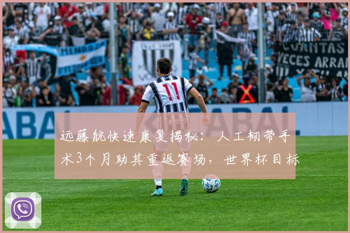 远藤航快速康复揭秘：人工韧带手术3个月助其重返赛场，世界杯目标明确