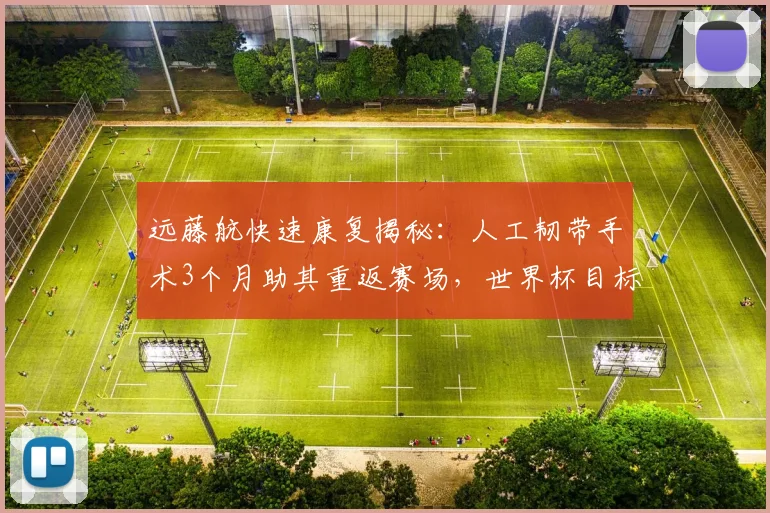 远藤航快速康复揭秘:人工韧带手术3个月助其重返赛场,世界杯目标明确